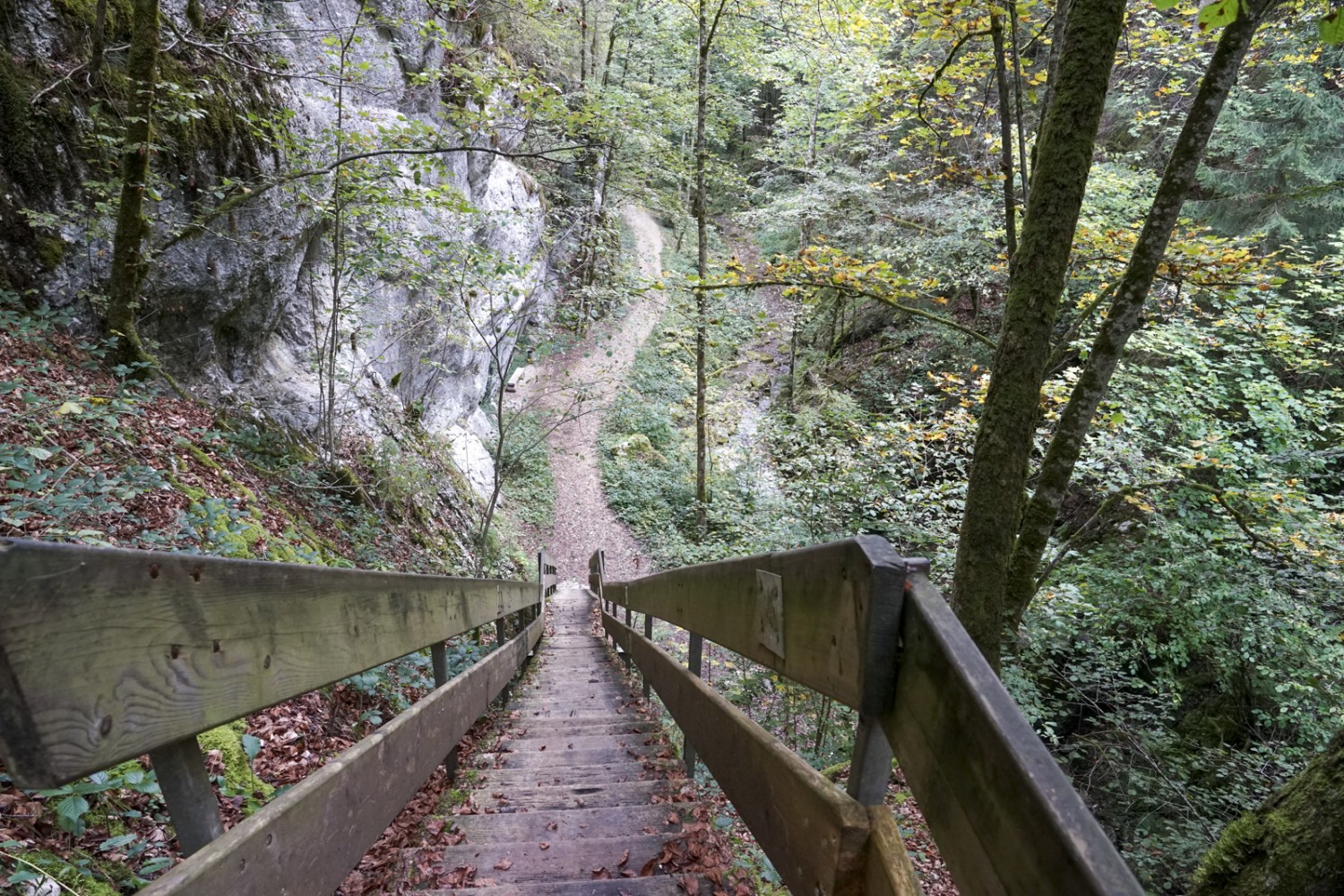 Les passages particulièrement étroits et raides des gorges de Perrefitte sont équipés d’escaliers et de passerelles. Photo : Reto Wissmann
