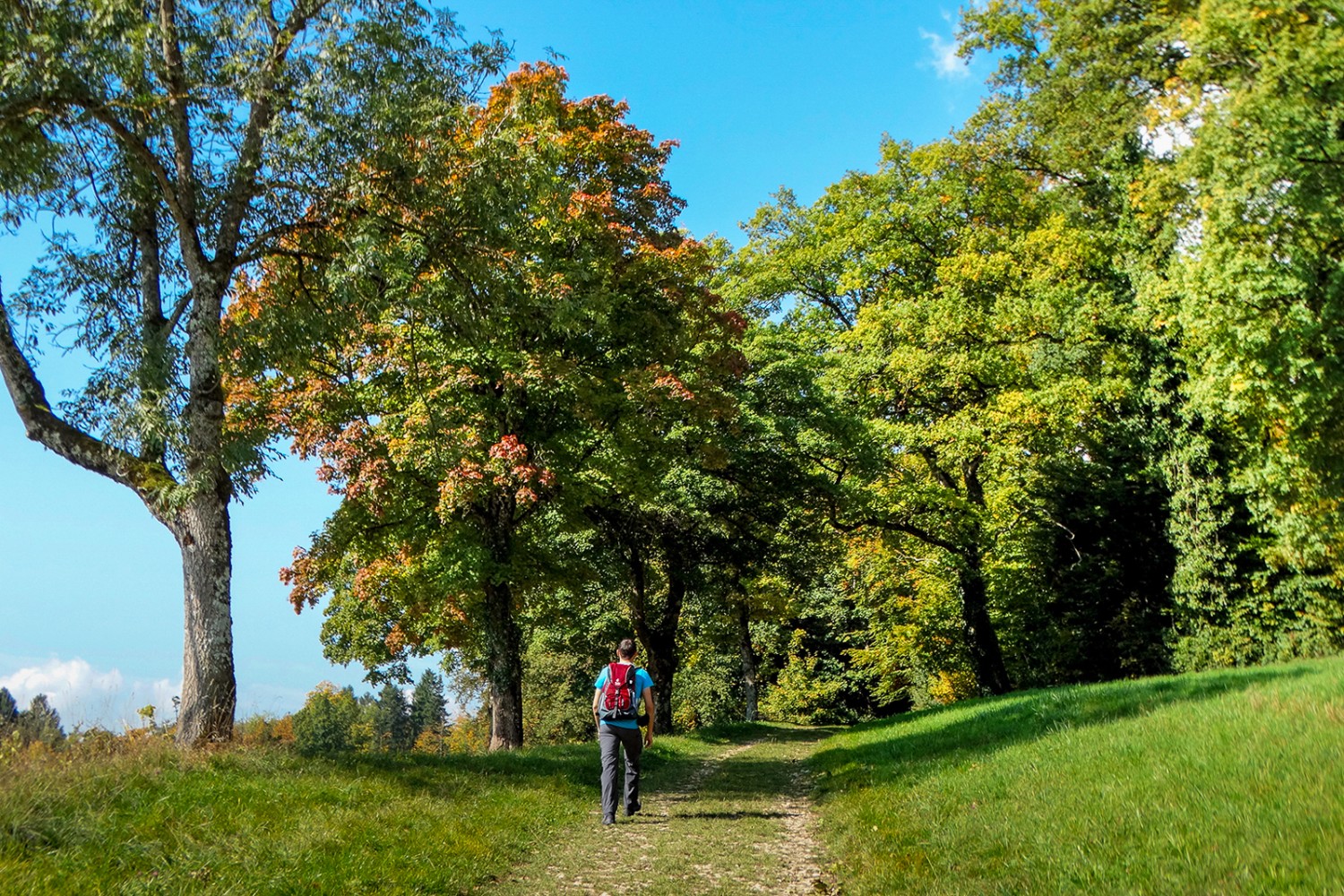 Avant le Château de Domont, le chemin pénètre une première fois dans la forêt. Photo: Daniela Rommel