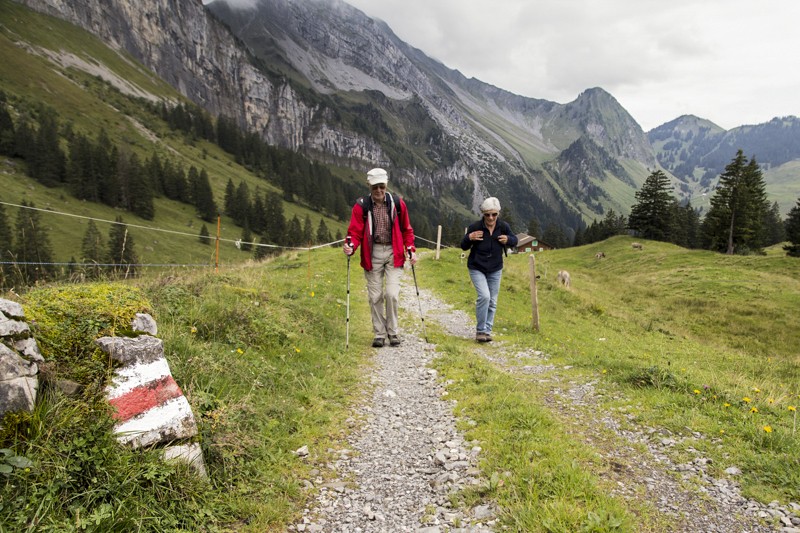Le chemin de randonnée de montagne passe de temps en temps par une route d'Alpage. Photos: Markus Ruff