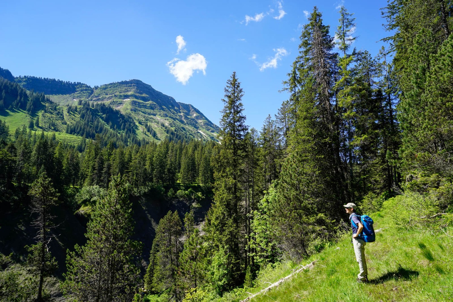 Vue sur le Hohmad, derrière la vallée de la Grosse Entle. Photo: Fredy Joss