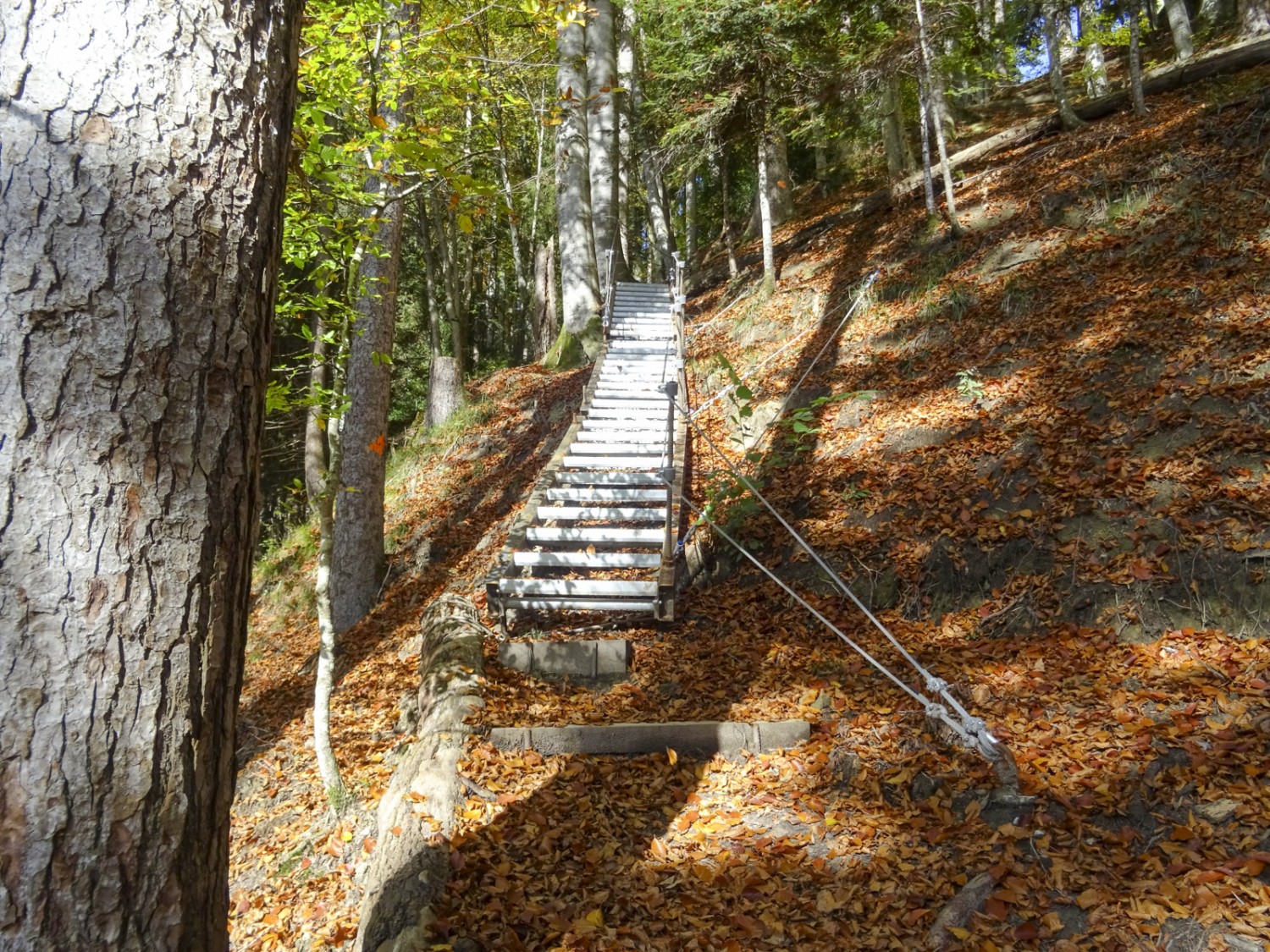 On rejoint aisément la chute Höchfall par un escalier métallique. Photo: Sabine Joss