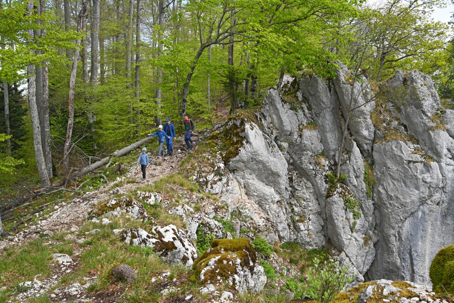 Des rochers abrupts et un précipice entre Remelspitz et Roti Flue. Photo: natur-welten.ch