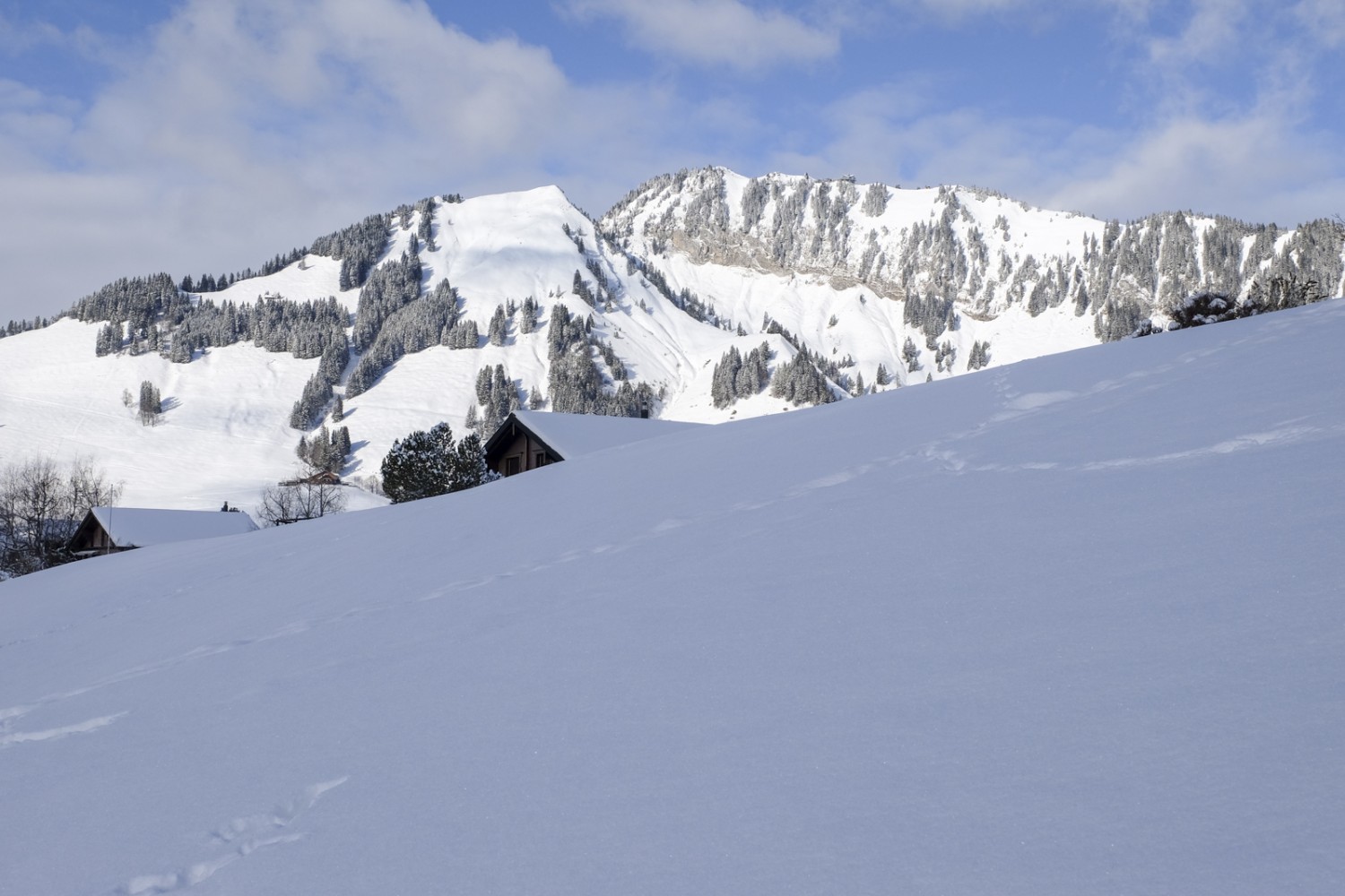 De l’alpage de Dürrenboden, on voit les pentes abruptes du côté sud du Stanserhorn et le Chli Horn, à gauche. Photo: Elsbeth Flüeler