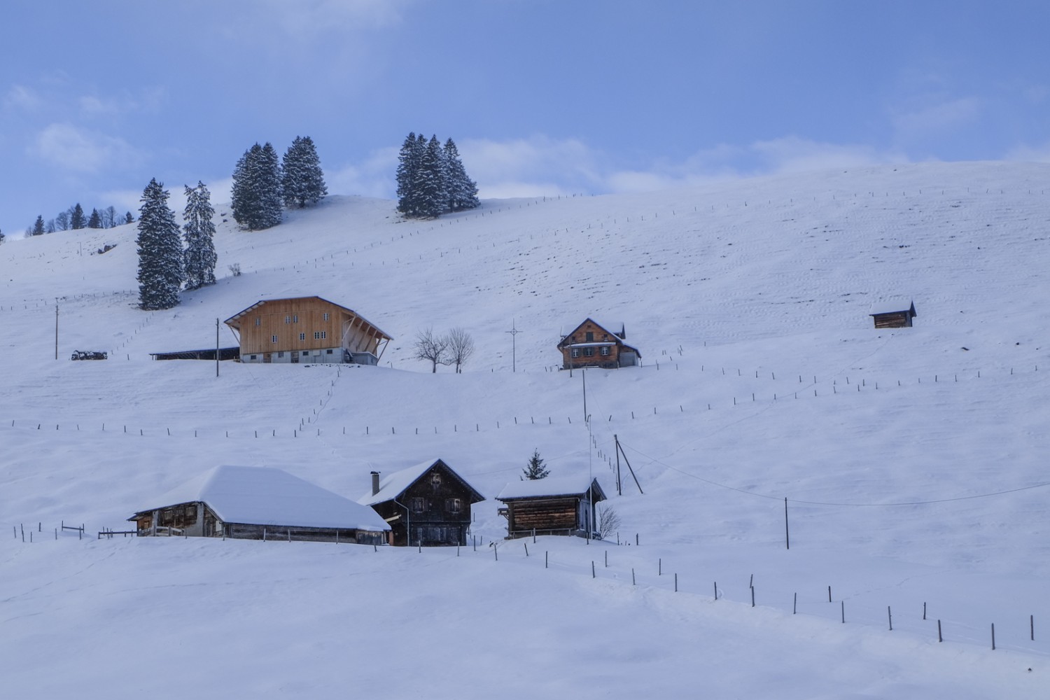 Les Untere et Obere Rainhütten sur l’alpage de Dürrenboden. Photo: Elsbeth Flüeler