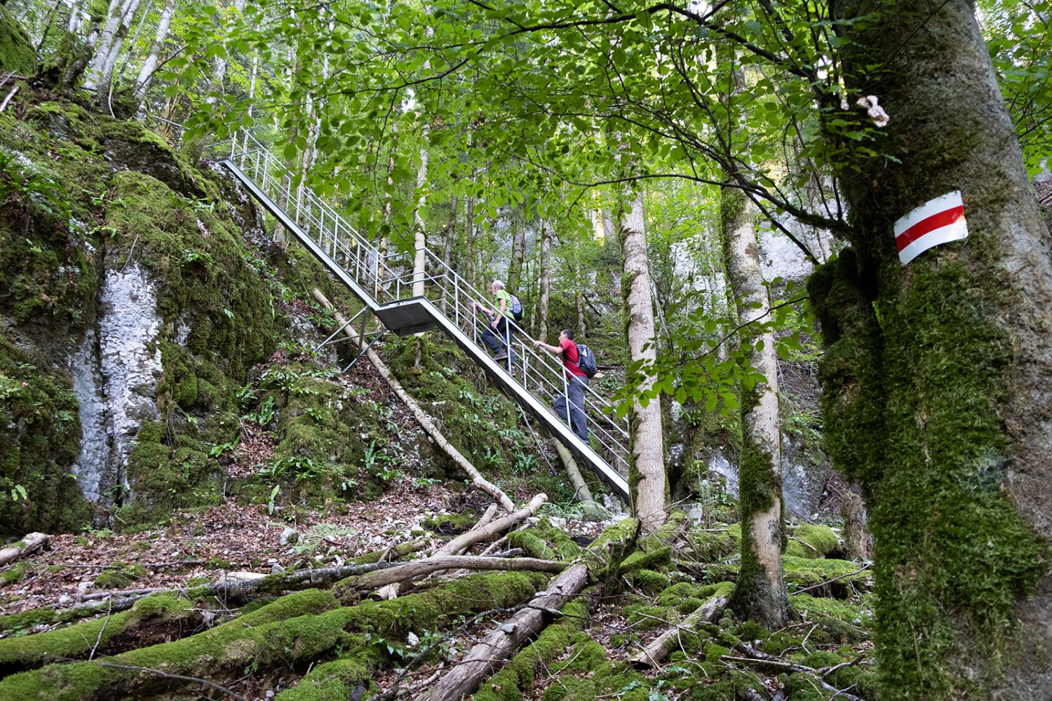 Leitern und Treppen vereinfachen den Aufstieg nach Le Noirmont.
Bilder: Markus Ruff