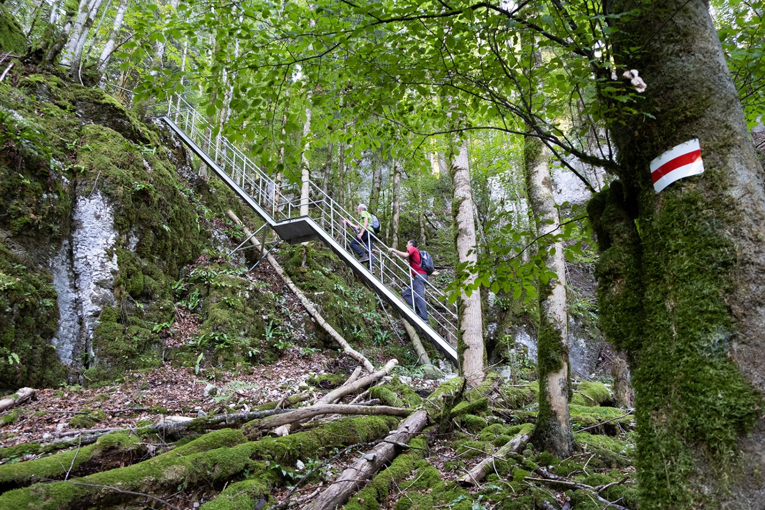 Leitern und Treppen vereinfachen den Aufstieg nach Le Noirmont.
Bilder: Markus Ruff