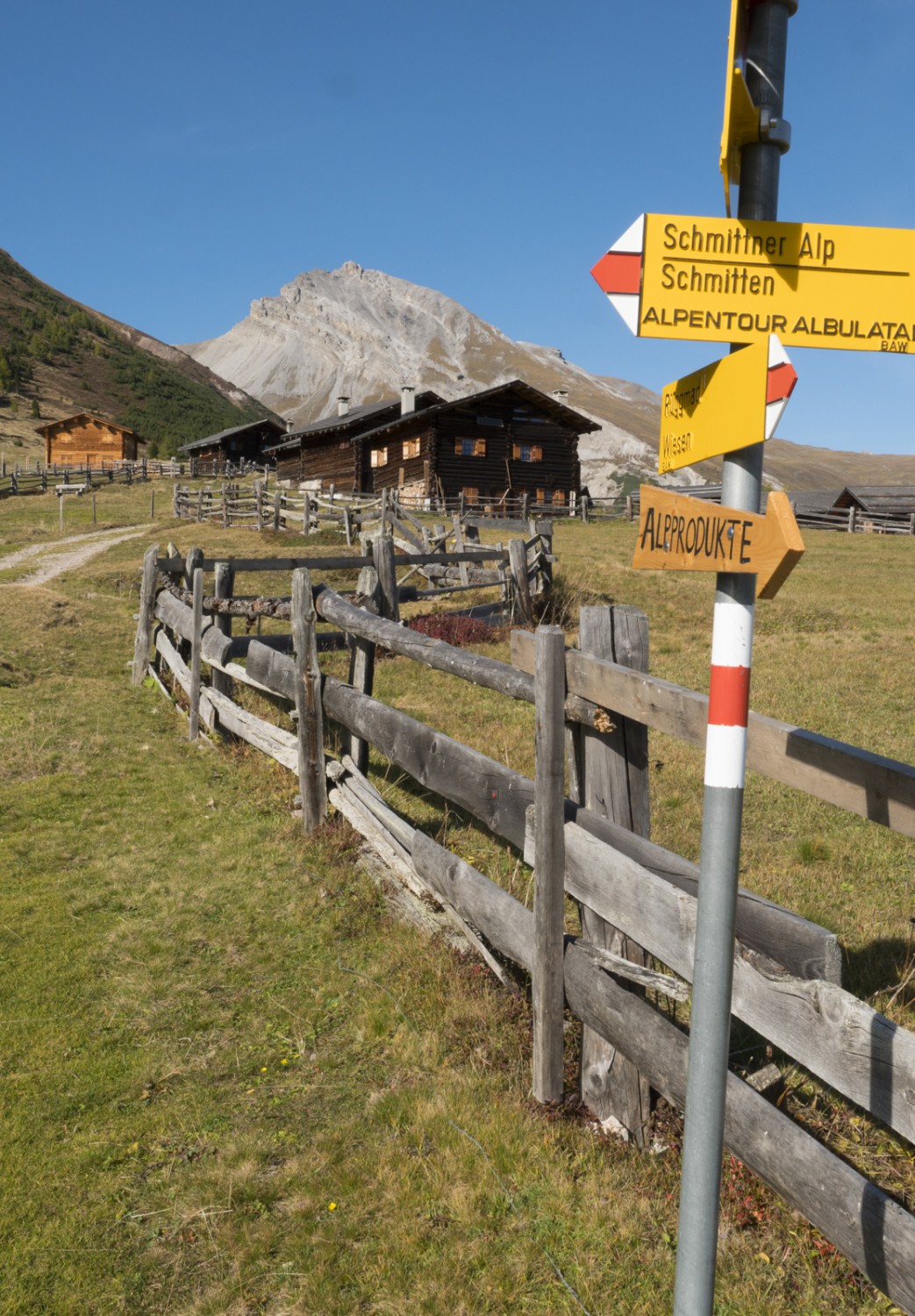 L’alpe Wiesner et, au loin, le Valbellahorn. Photo: Heinz Staffelbach