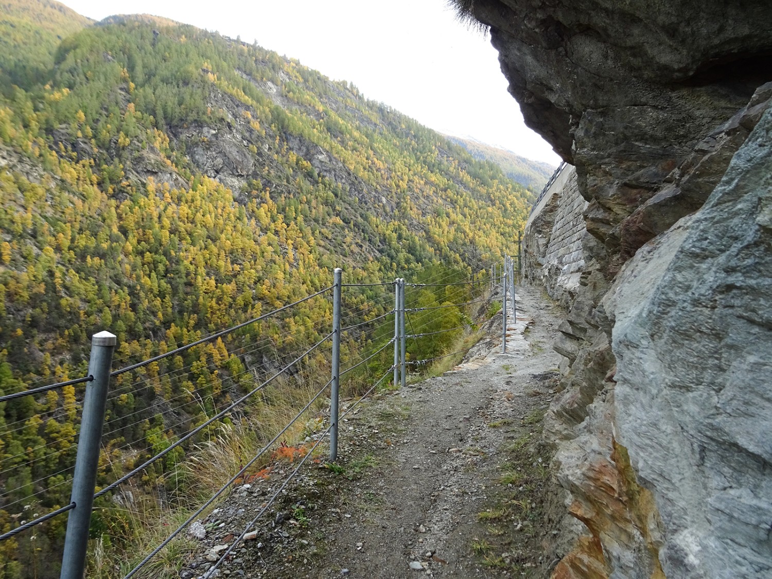 Le nouveau chemin, bien sécurisé dans la pente, passe sous la route cantonale. Photos: Sabine Joss