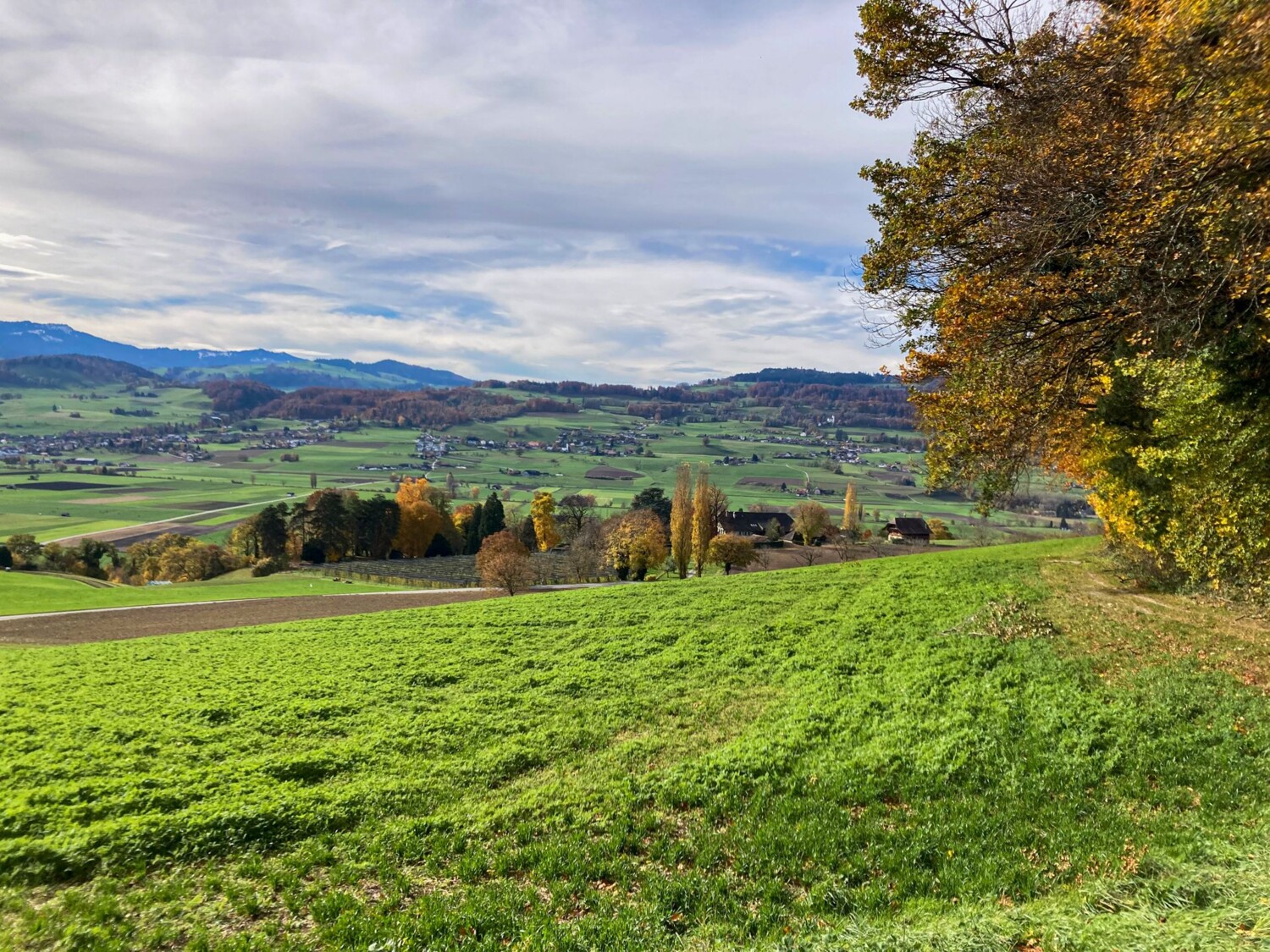 Am Fuss des Belpbergs mit Blick übers Gürbetal zum Längenberg.