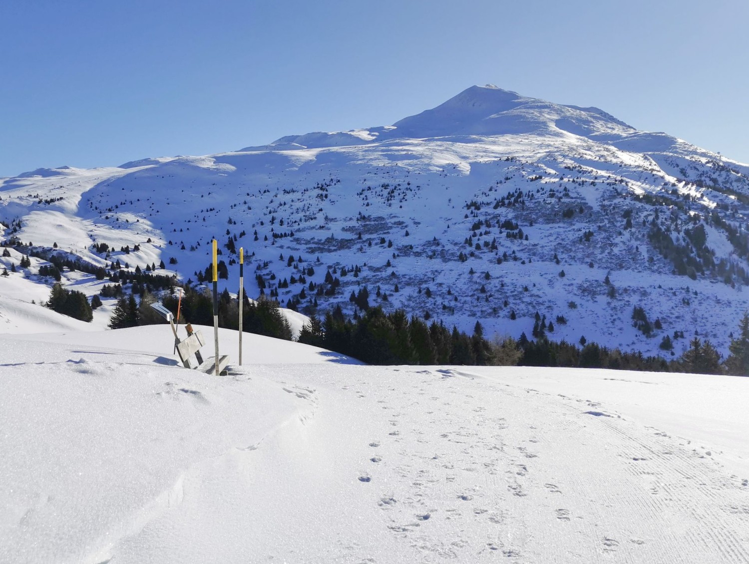 Entre l’alpage dil Plaun et l’alpage Raguta, vue sur le Fulhorn