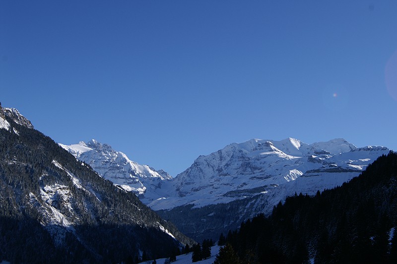 Blick auf die Blüemlisalp.
Bild: Jochen Ihle