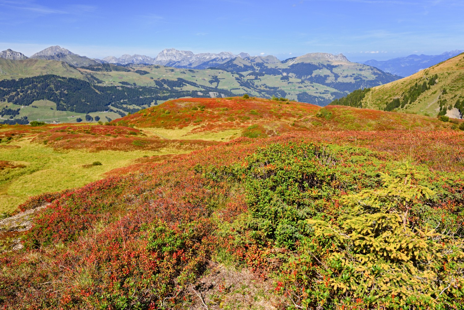 Au-delà du val d’Illiez, le regard se porte sur le Mont de Grange et les Cornettes de Bise. Photo: natur-welten.ch