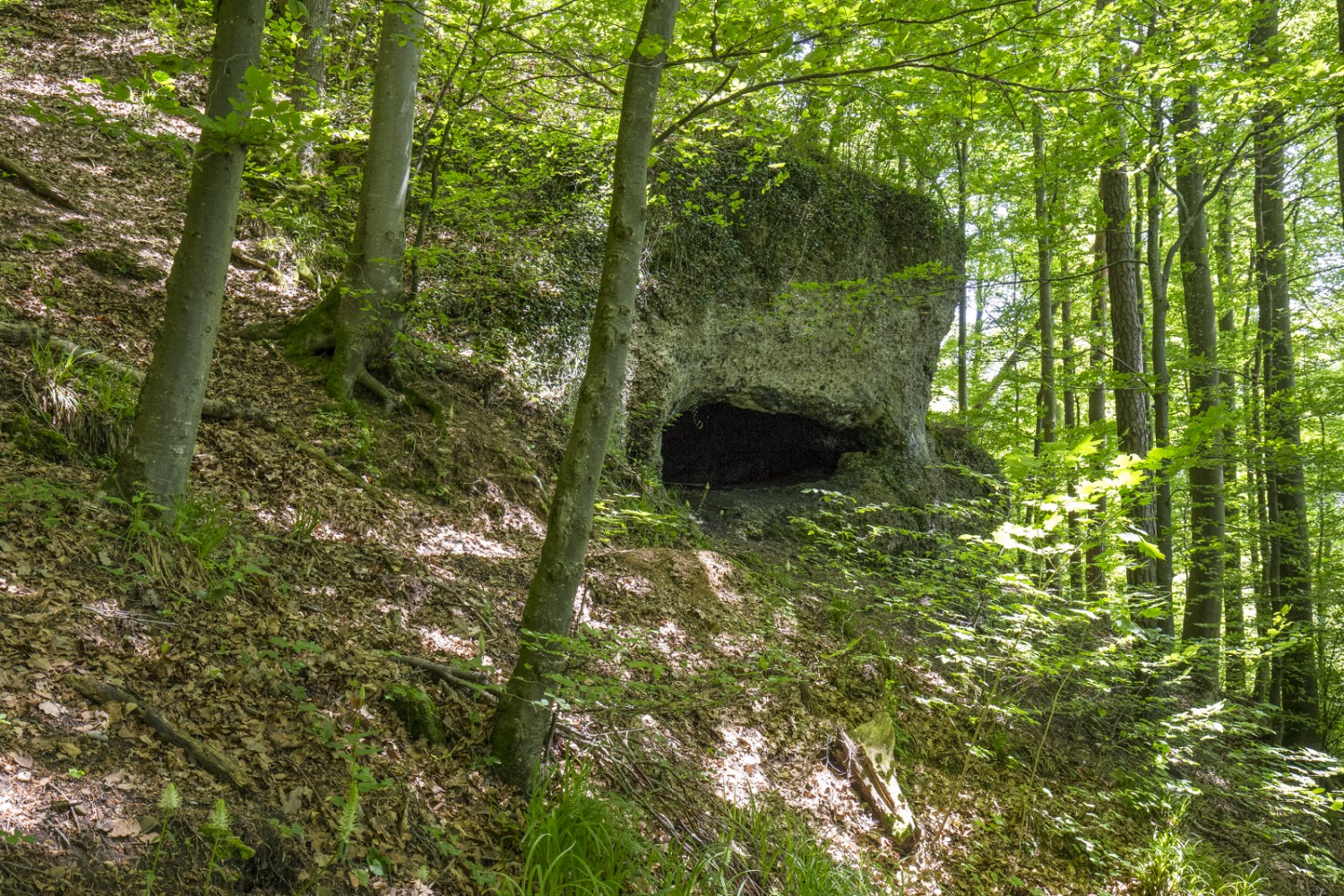Le chemin menant à la grotte de Frère Lienert est l’un des tronçons les plus intéressants du parcours. Photo: Daniel Fleuti