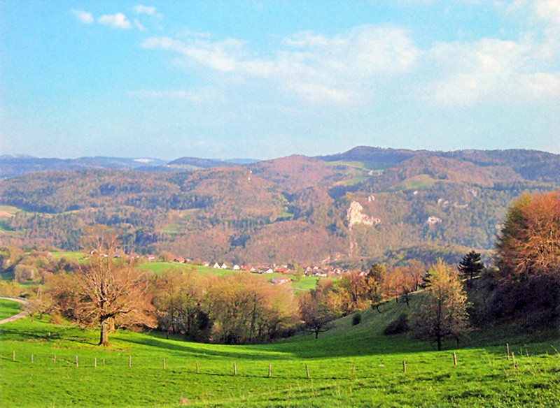 Blick nach Liesberg.