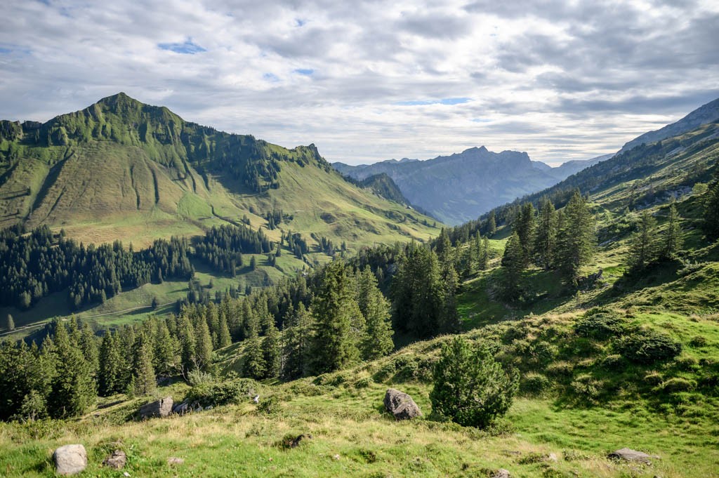 La randonnée de montagne est variée: rochers, passages dégagés ou tronçons de forêt. Photo: Jon Guler
