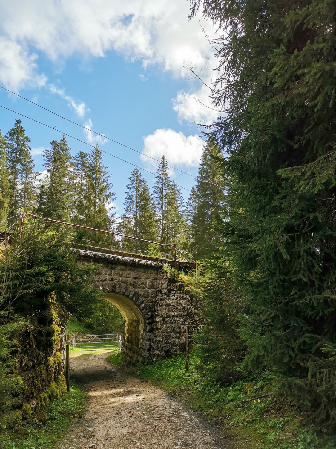 Ils nous accompagnent au long de la randonnée: le ruisseau Tabeillon et la ligne du train rouge à voie étroite. Photo: Evelyne Zaugg