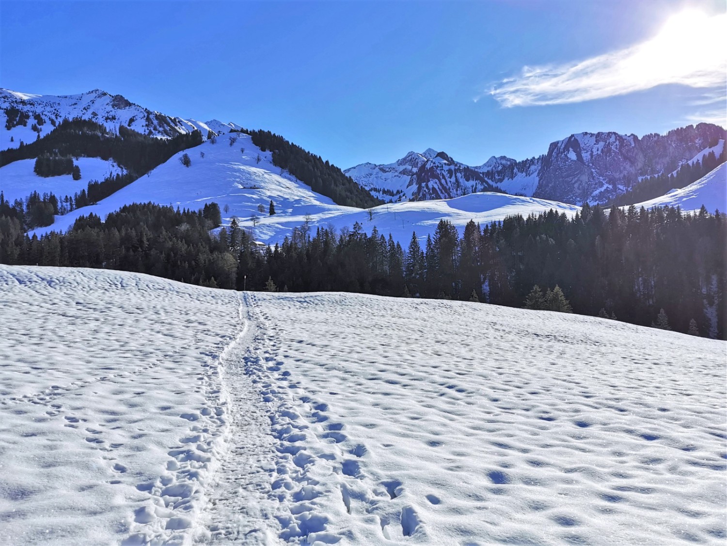 La Grosse Raynauda. En arrière-plan, à gauche, le Patraflon, au milieu, le Vanil d’Arpille et à droite, la Chaux de Férédetse. Photo: Andreas Staeger.