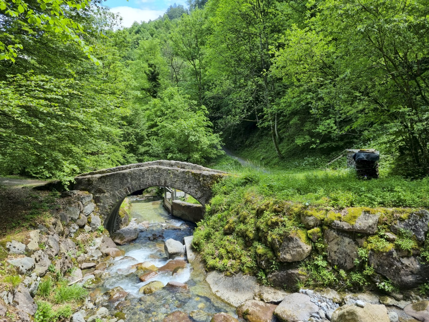 Vor dem Abstieg nach Mühlehorn führt eine kleine Steinbogenbrücke über den Meerenbach. Bild: Simon Liechti