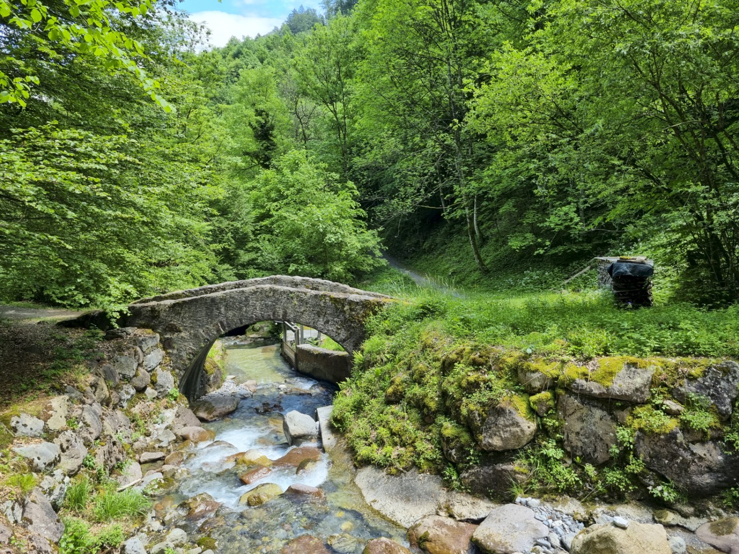 Prima di scendere a Mühlehorn si attraversa un ponticello ad arco in pietra sopra il torrente Meerenbach. Foto: Simon Liechti