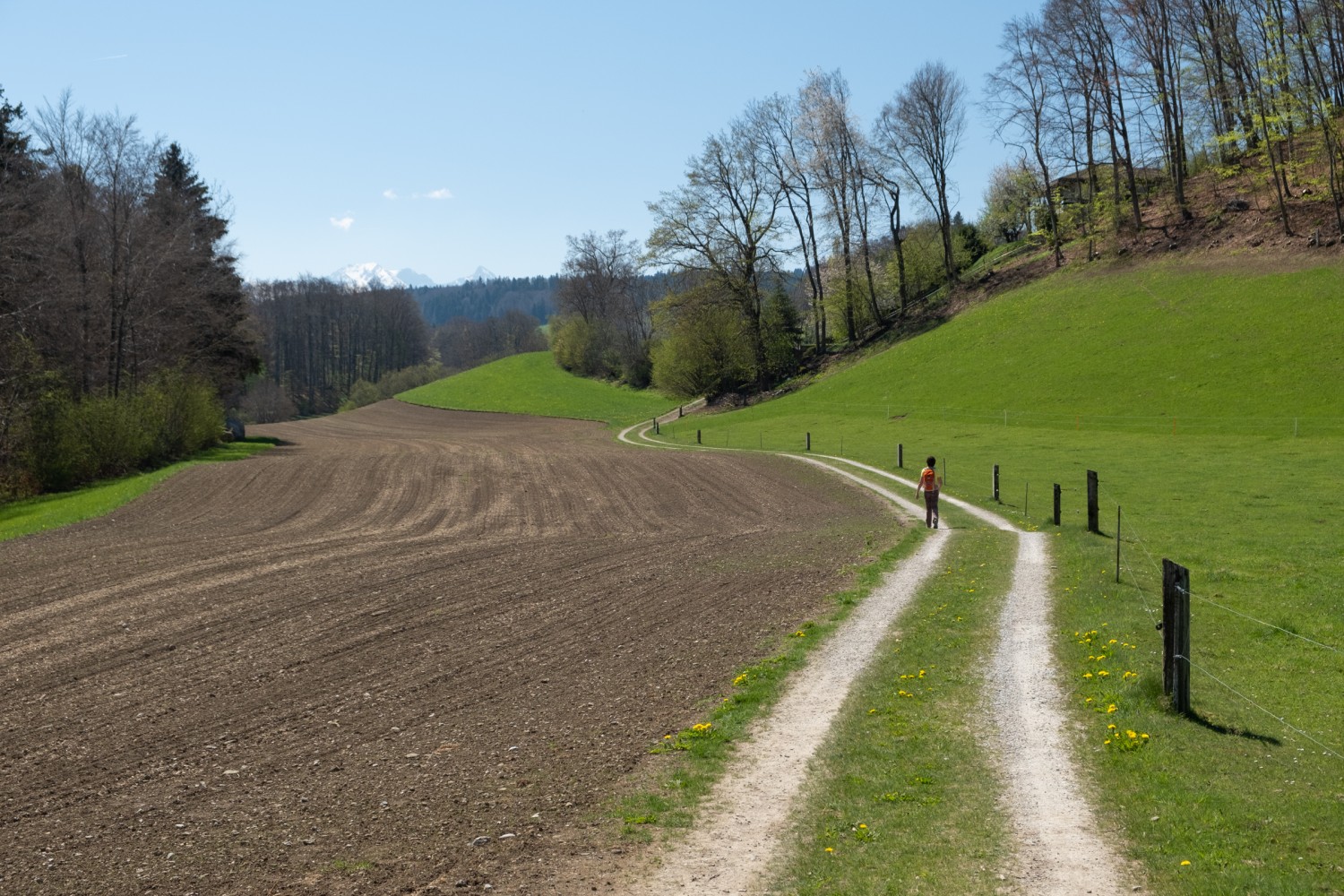 Die Wanderung führt über Weide- und Ackerland. Bild: Markus Ruff