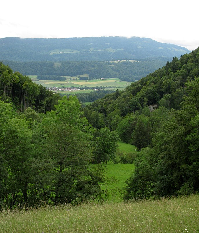 Vue au-delà des frontières cantonales depuis Nider Fringeli (Soleure) sur la commune jurassienne de Corban.
