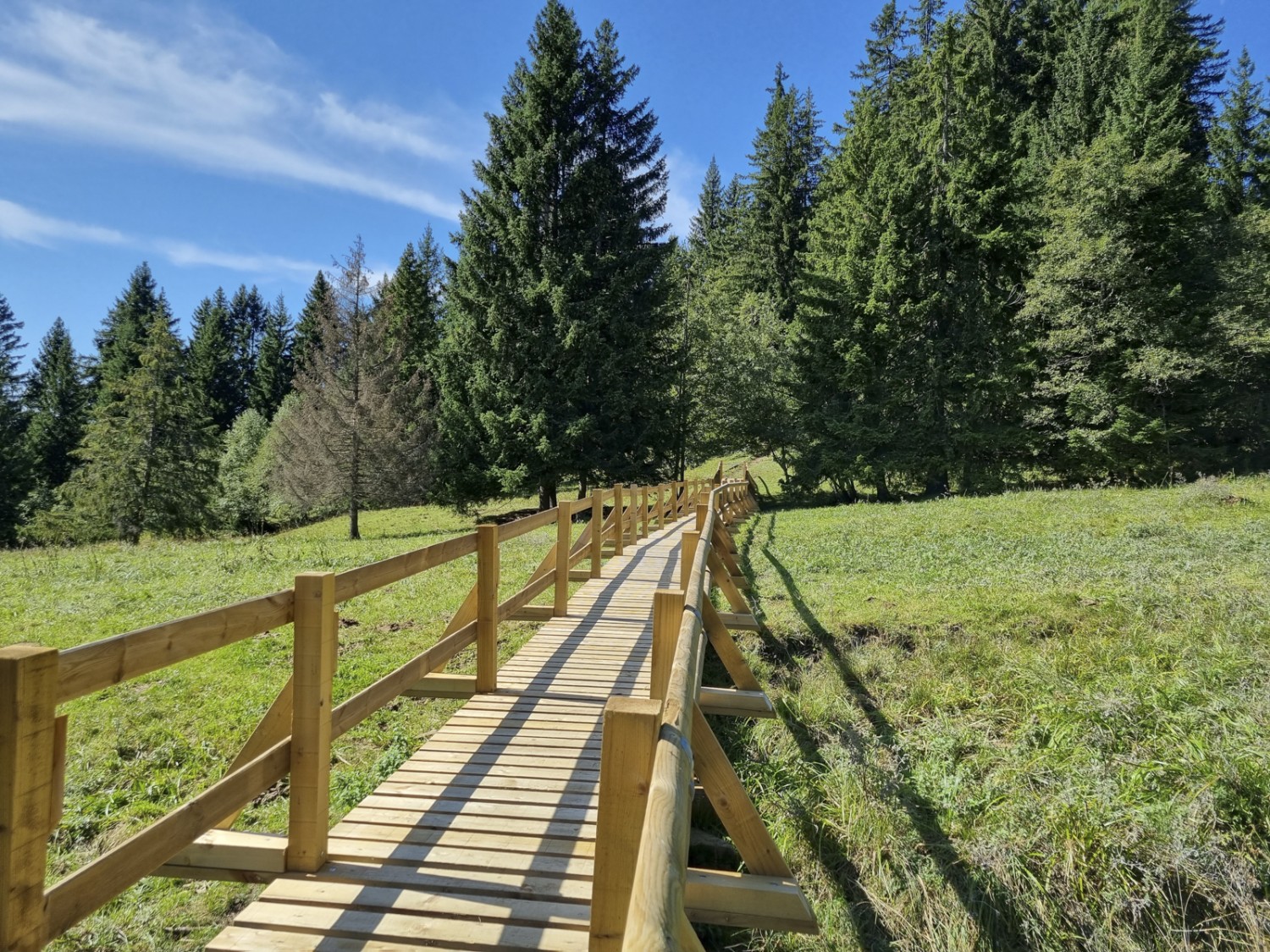 Der Holzsteg auf dem Rückweg zum Lac des Joncs erleichtert den Gang über Feuchtwiesen. Bilder: Nathalie Stöckli