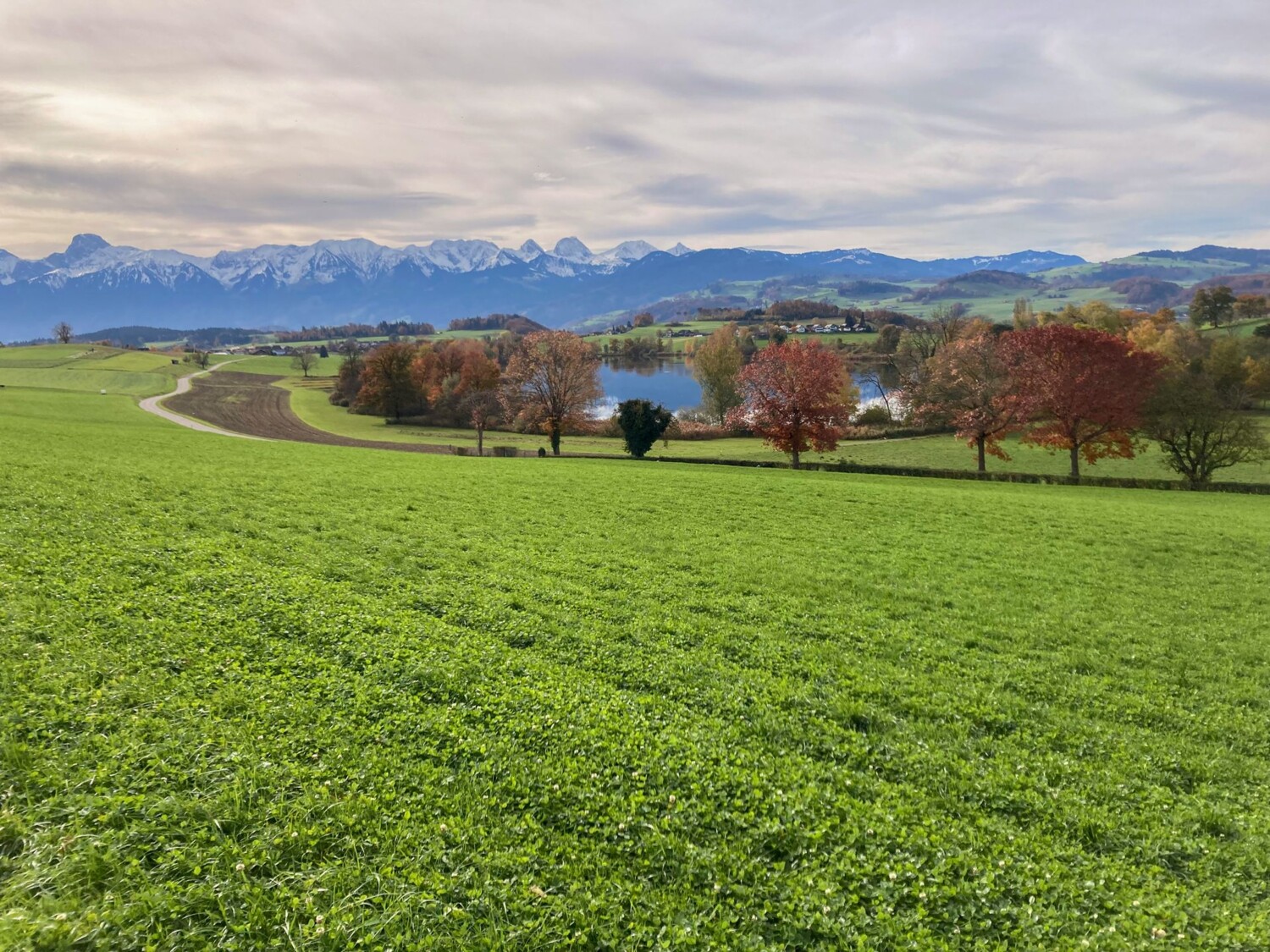 Blick auf den Toteissee und die herbstlich verschneiten Berner Alpen.