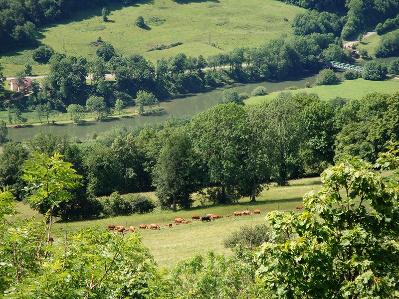 Souvent visible: la verdoyante vallée du Doubs.   Photo: Sabine Joss