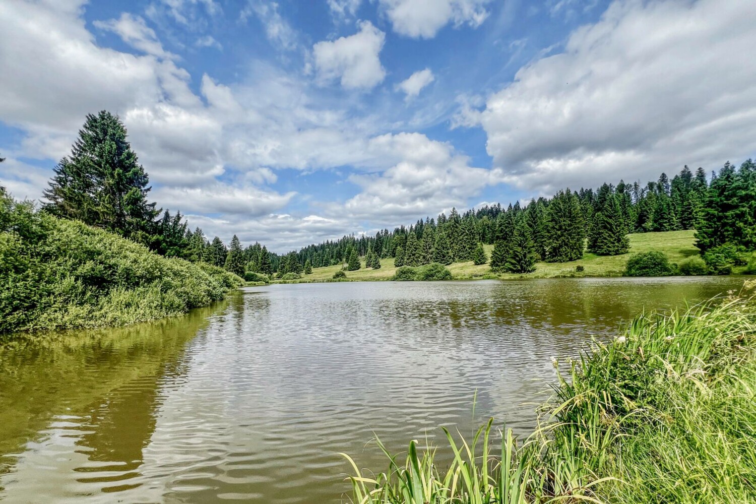 Der Etang du Plain de Saigne ist ein beliebtes Ausflugsziel und beherbergt eine breite Artenvielfalt.