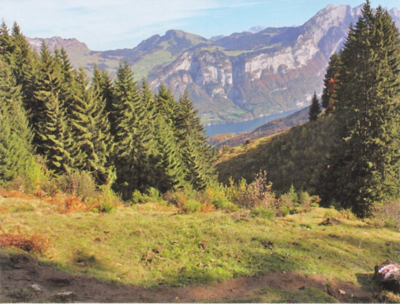 Blick von Habergschwändwinkel auf den Walensee und die Churfirsten.