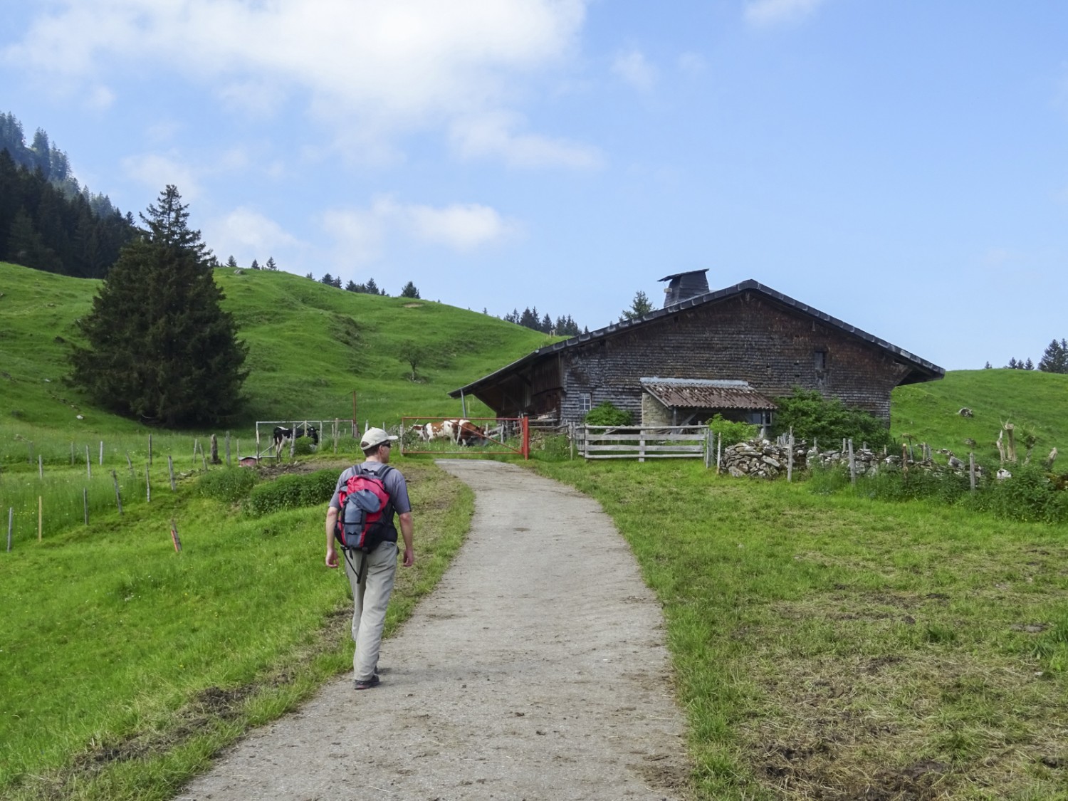 De belles vues dans les Préalpes fribourgeoises