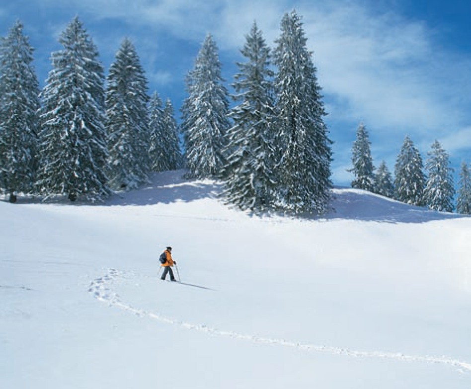Bei der Schneeschuhwanderung auf der Vue des Alpes lässt sich der Winter sportlich geniessen.