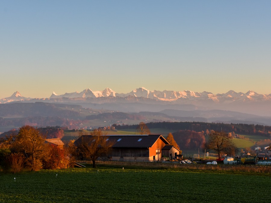 Pas loin de la ville, mais les Alpes en pleine vue. Photo: Alexandra Blatter