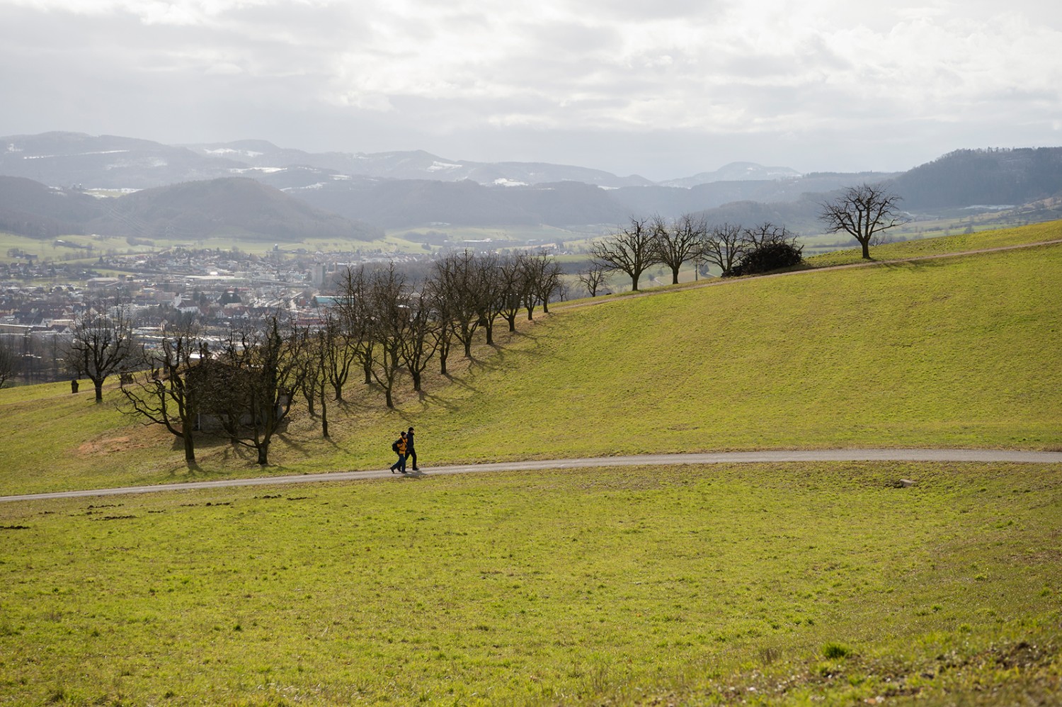 Peu après Ba-Ischlag: des haies, un ruisseau et une vue magnifique. Photos: Raja Läubli