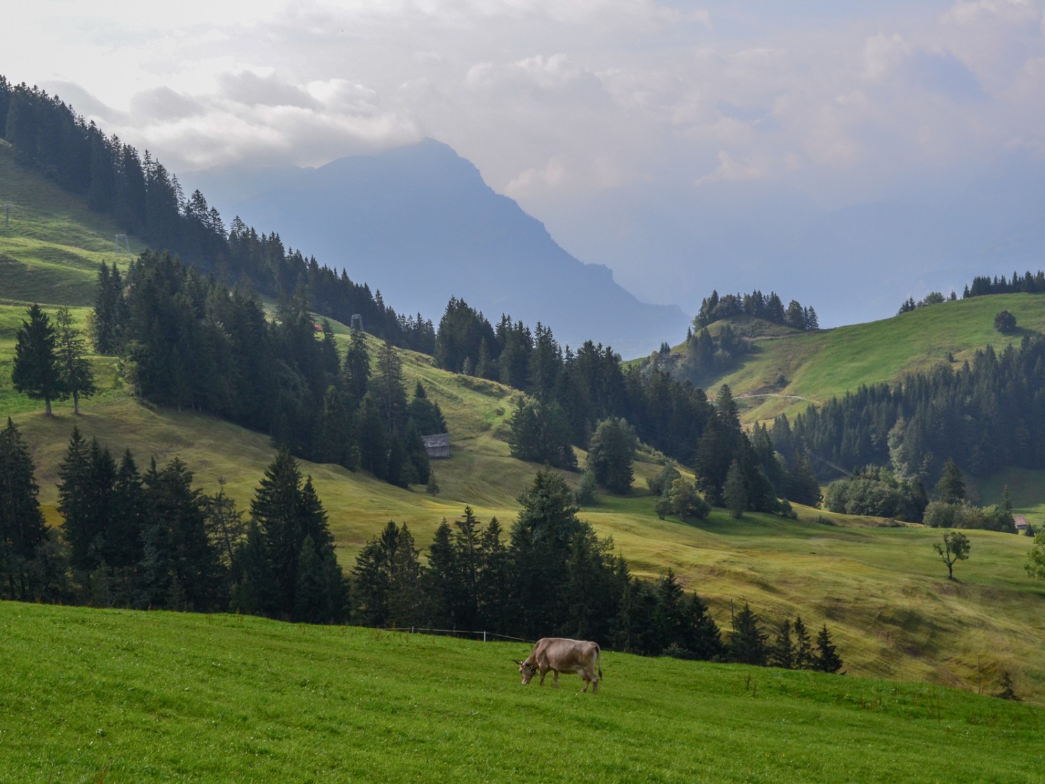 Joli paysage au niveau du Hochstuckli. Photo: Sabine Joss