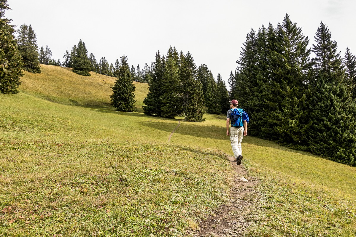 En montant au Fürhörnli, les paysages rappellent un peu le Jura. Photo: Fredy Joss