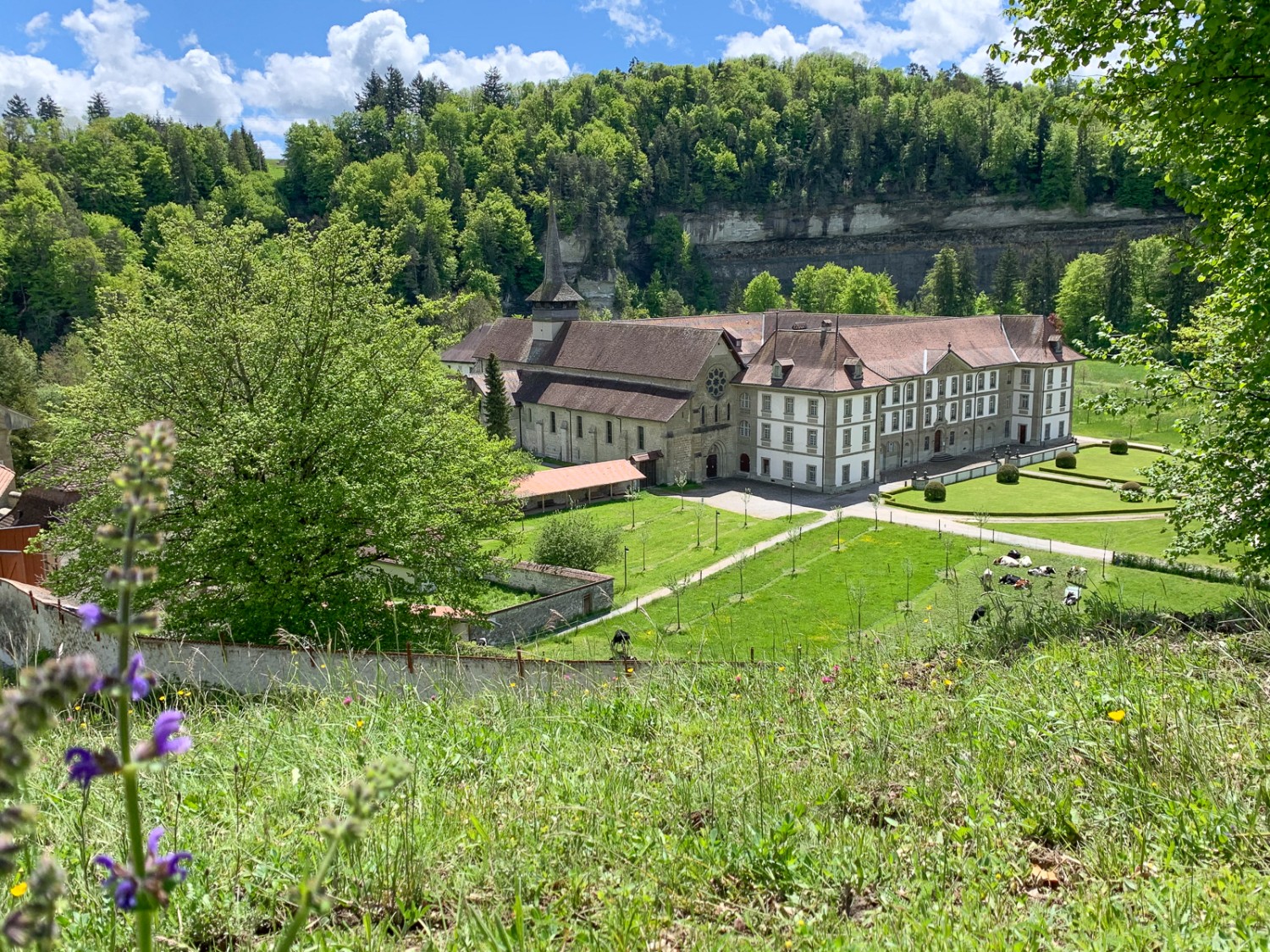 Peu après l’Institut agricole de Grangeneuve, vue magnifique sur l’abbaye d’Hauterive. Photo: Monika Leuenberger