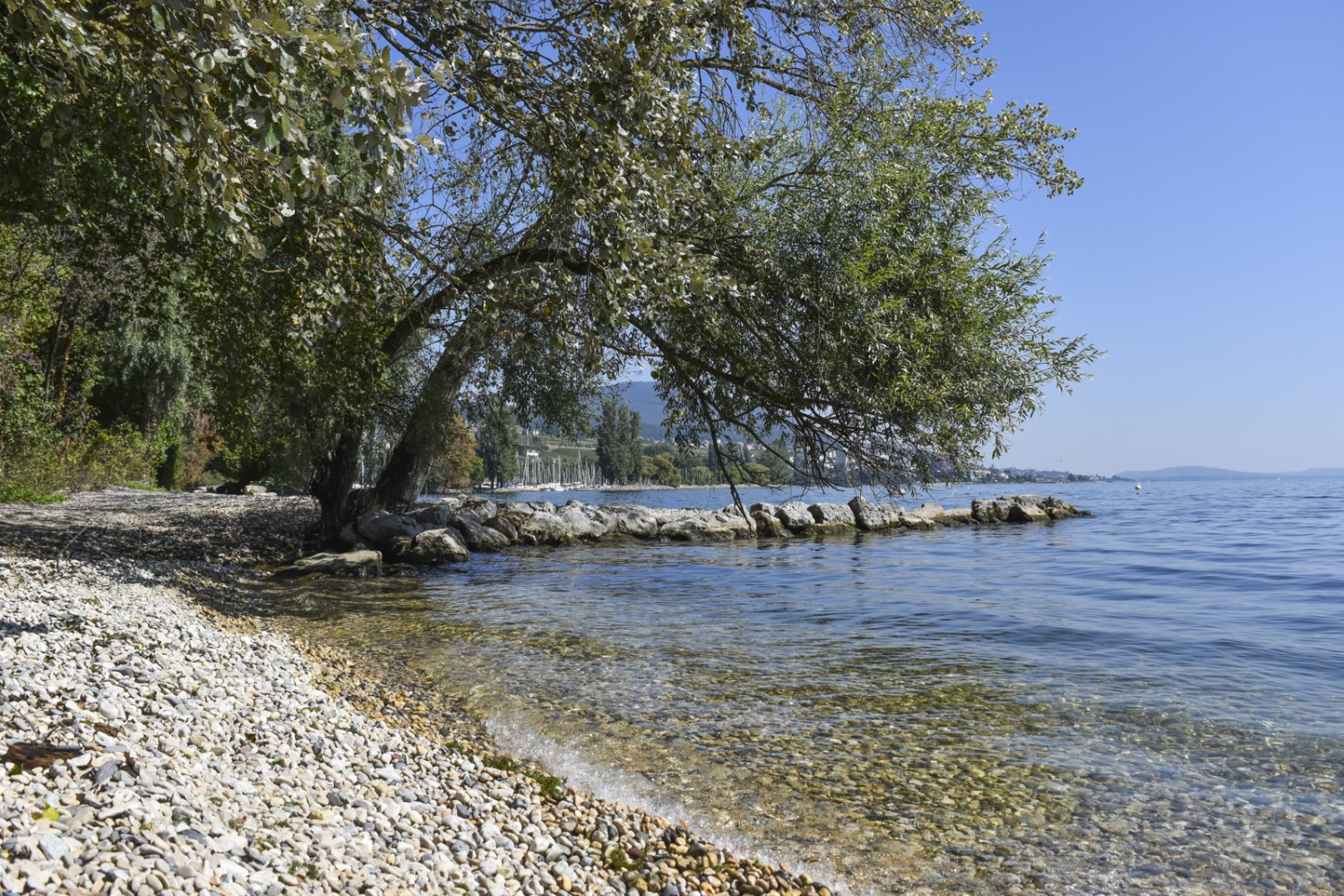 Ambiance de vacances au bord du lac de Neuchâtel. Photo: Nathalie Stöckli