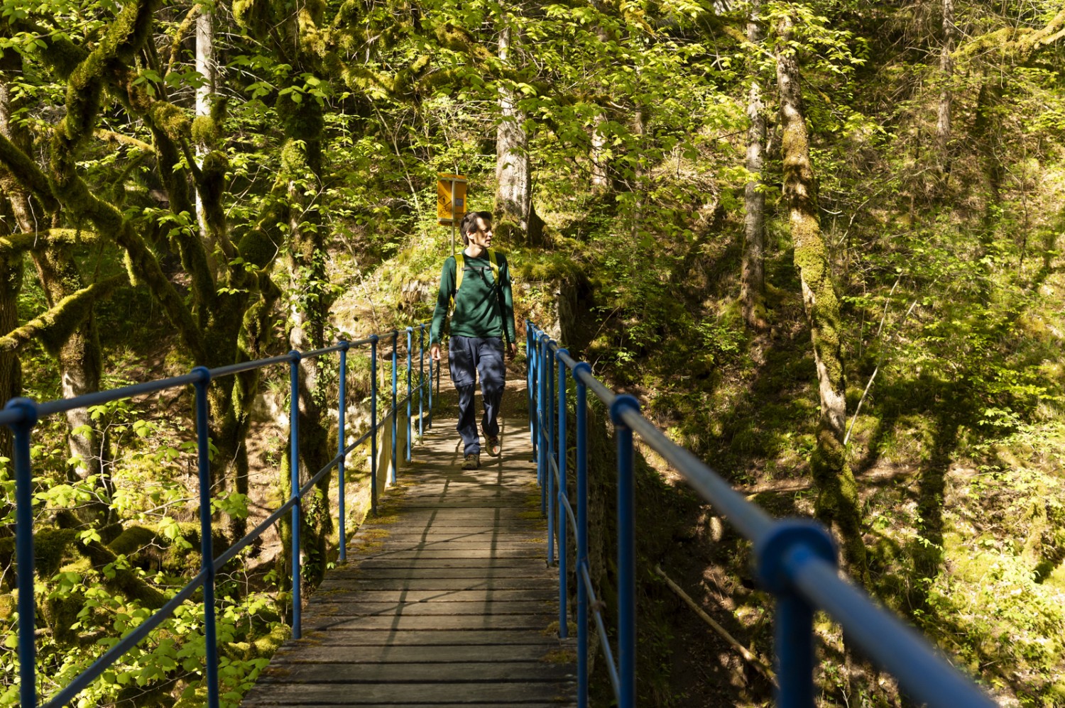 Die letzte Brücke über die Orbe. Auf der anderen Seite beginnt der Bergwanderweg. Bild: Raja Läubli