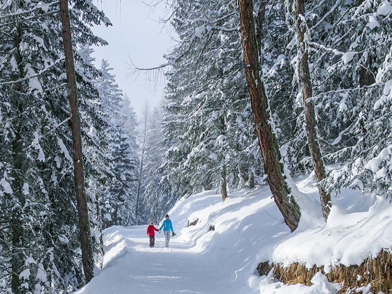 Forêt hivernale féerique près de Vermala. Photo: Andreas Staeger