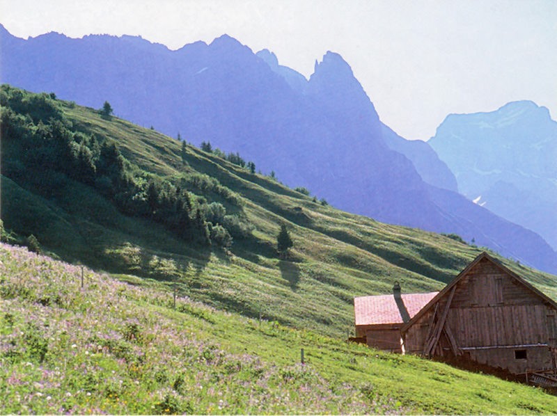 Agriculture de montagne sur les hauts du Schächental. Photo: Franz Auf der Maur