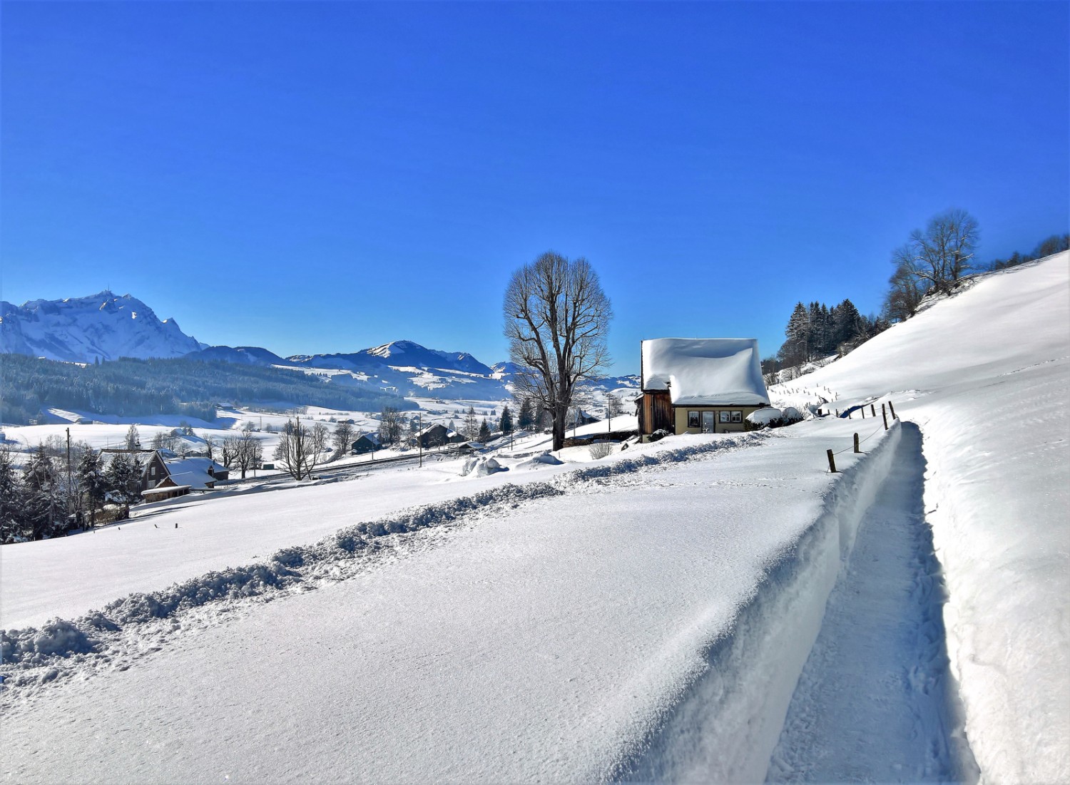 Sur le chemin entre Rietli et Gais. A gauche, l’Alpstein. Photo: Andreas Staeger