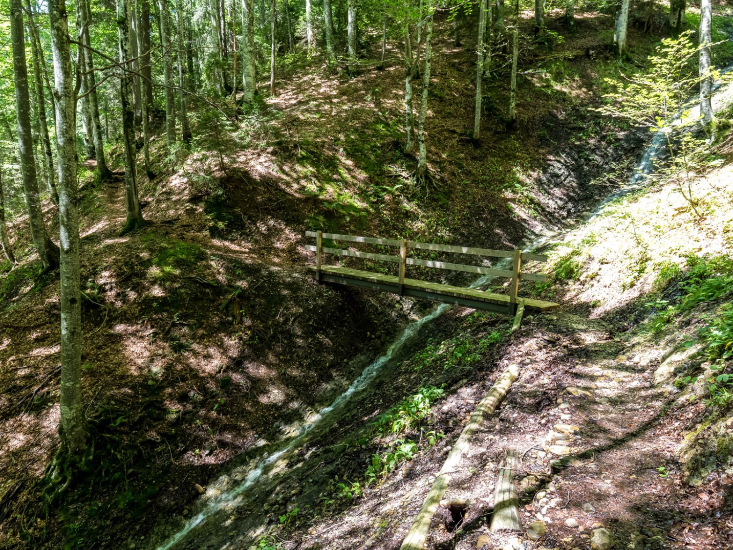 Entre les alpages de Horn et de Neuwald. Photo: Daniel Fleuti