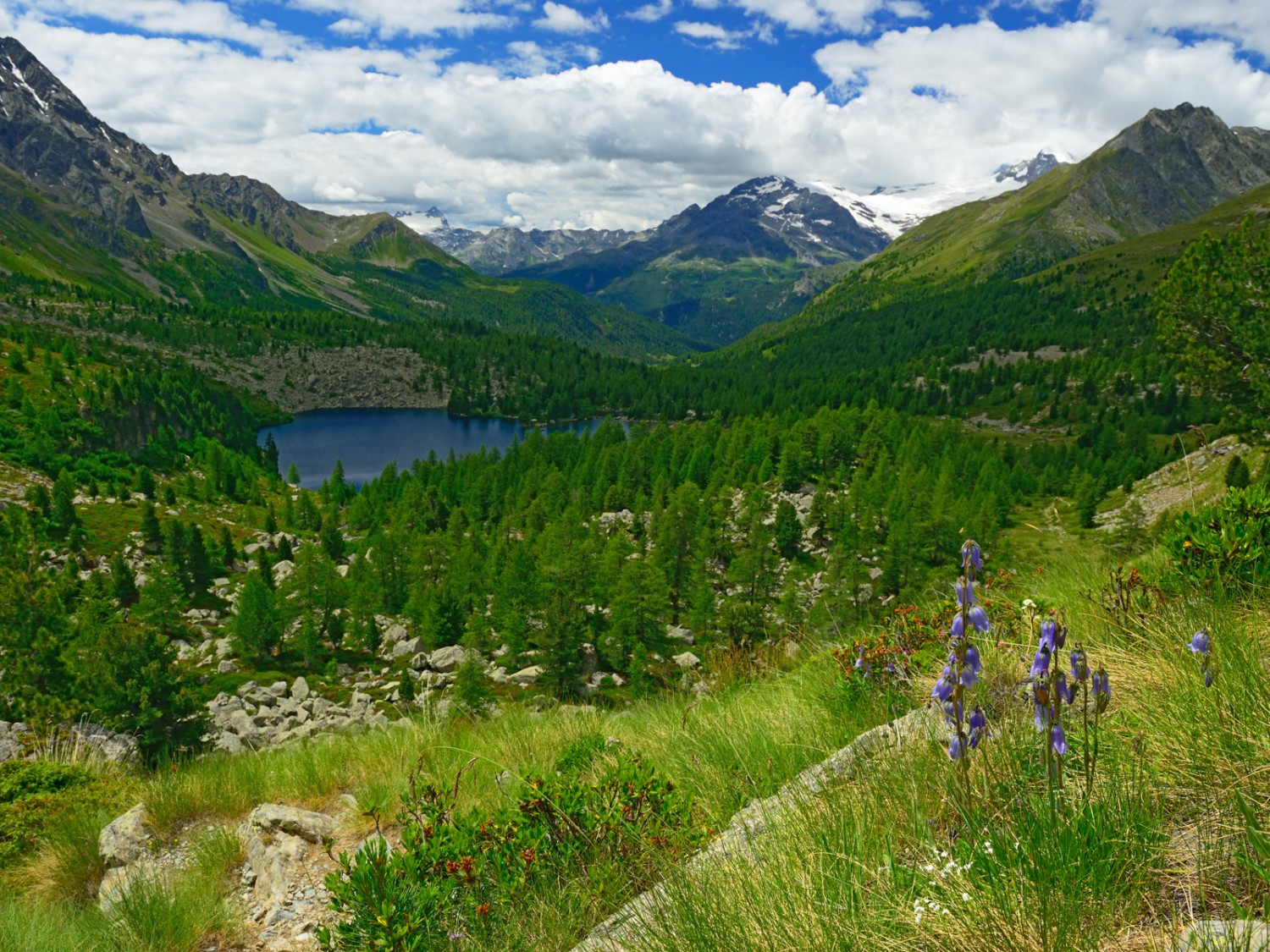 Le lac du Val Viola se trouve à 2159 m d’altitude. Photo: natur-welten.ch