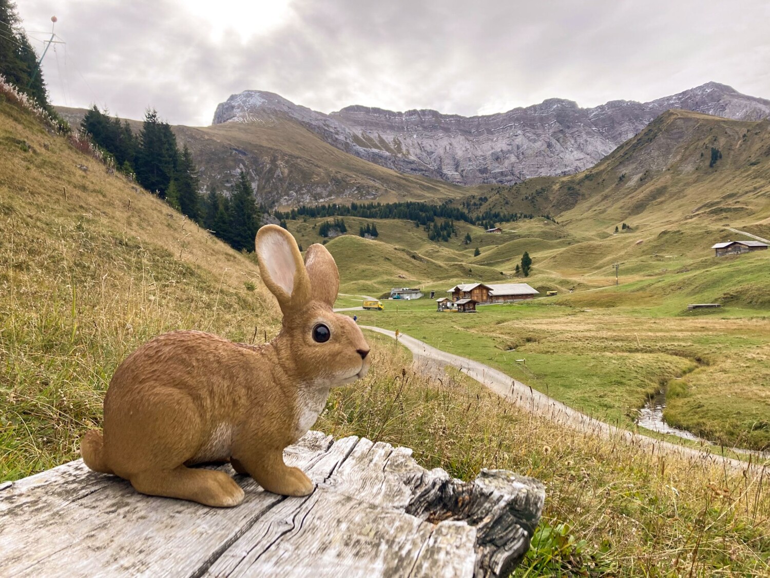 De la station supérieure de l’Elsigenalp, on voit déjà la zone de moraines et d’éboulements. Les enfants peuvent chercher des animaux en plastique cachés à leur intention.