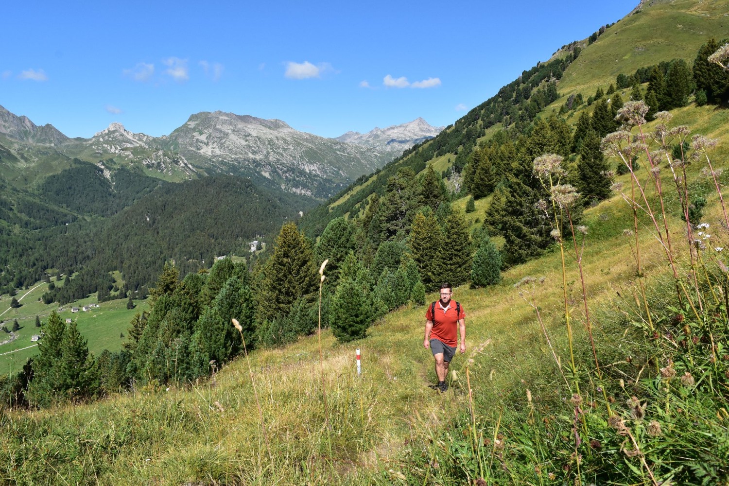 La montée vers Dötra traverse des prairies alpines.
