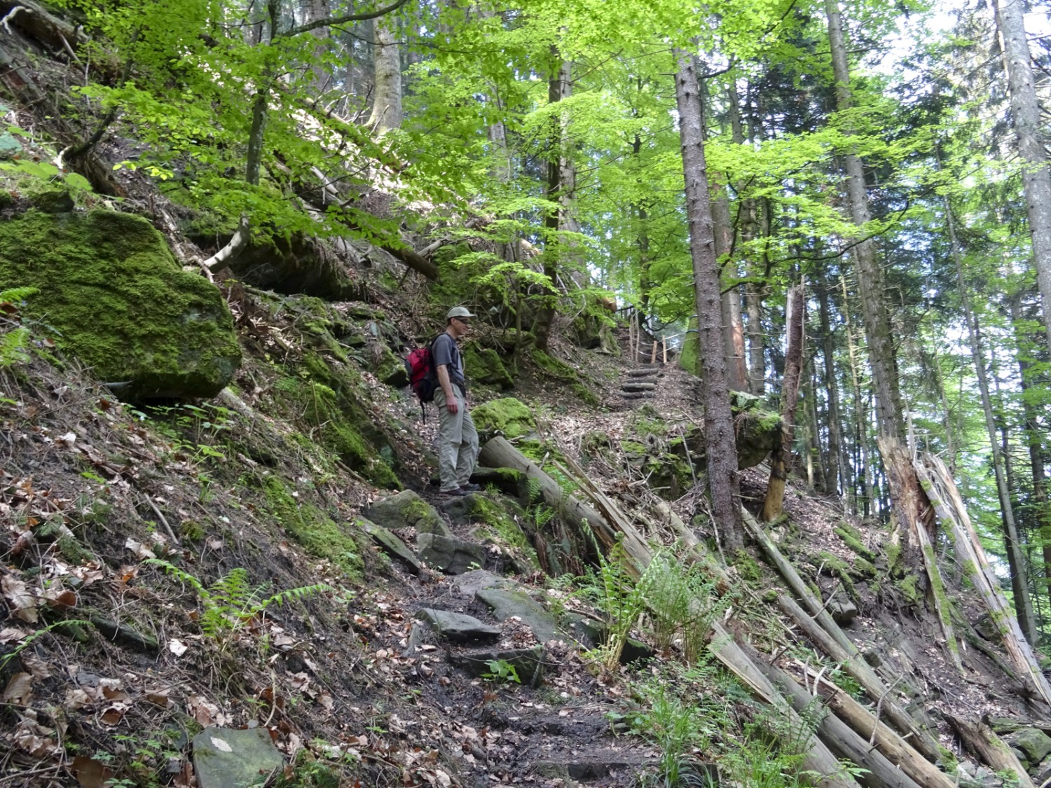 Au pied de la Chrüzflue, le chemin passe près des arbres tombés à la suite d’une tempête. Photo: Sabine Joss