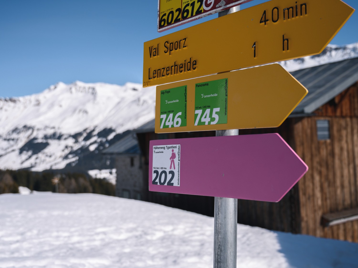 Les panneaux roses indiquant l’itinéraire guident les randonneurs de manière sûre tout au long de la randonnée hivernale. Photo: Jon Guler