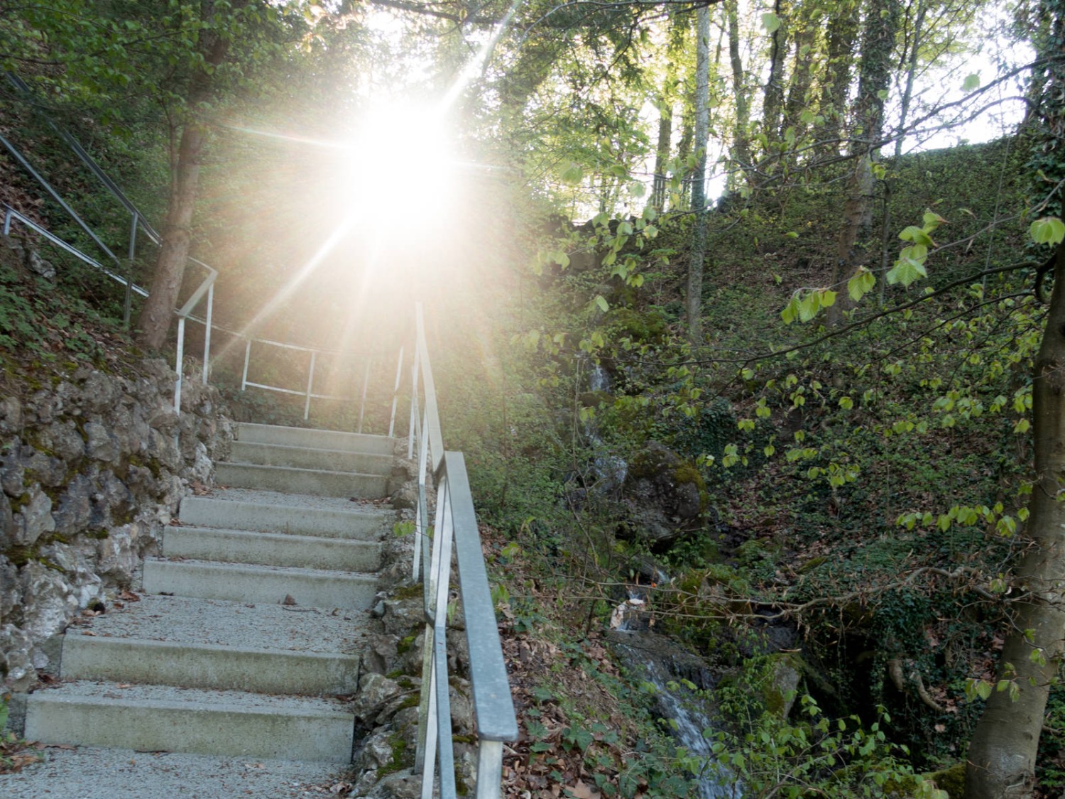 Voilà, le «Stairway to Heaven». Photo: Vera In-Albon