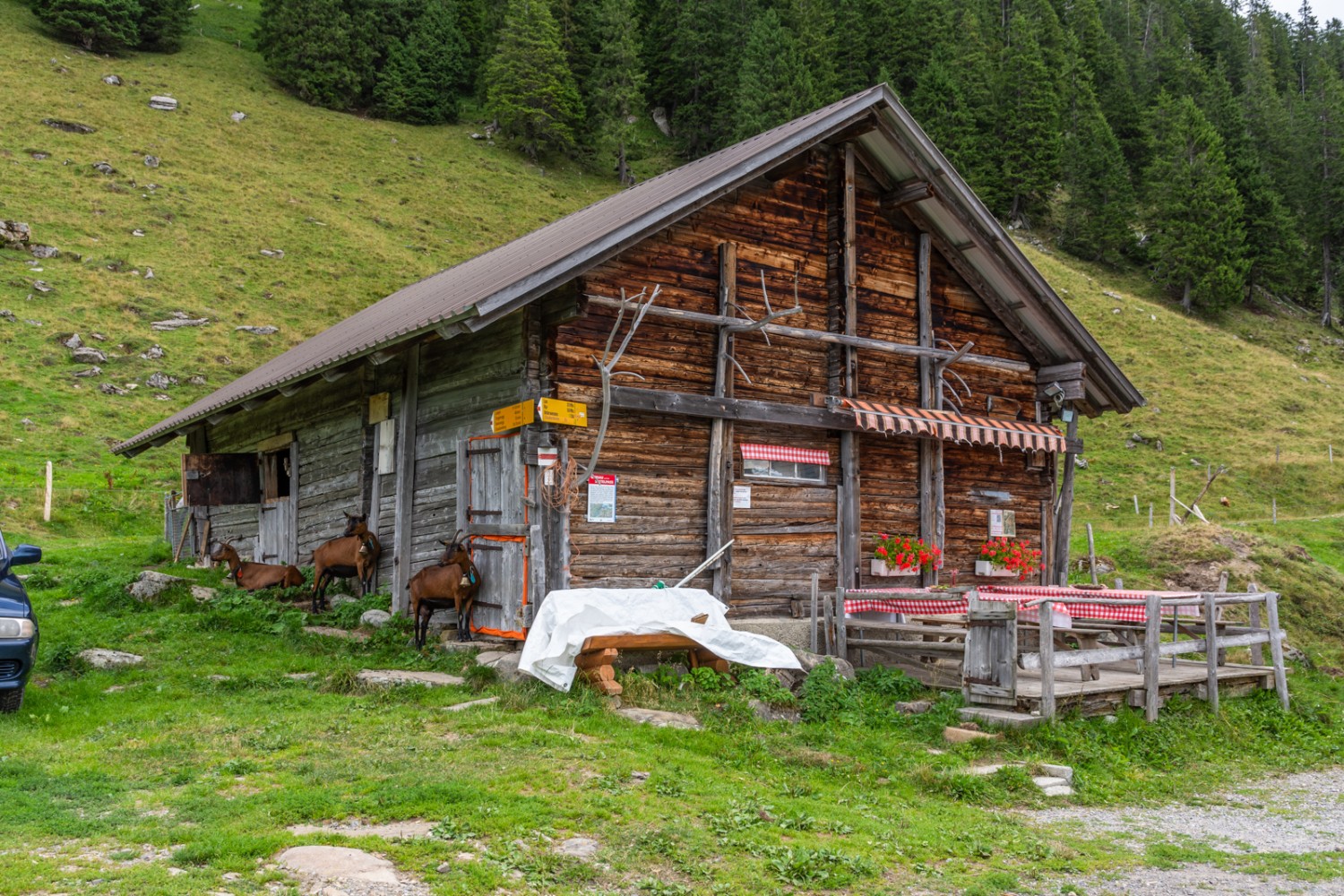 Cabane à l’alpe Sattel. Photo: Franz Ulrich